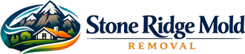 Stone Ridge Mold Removal